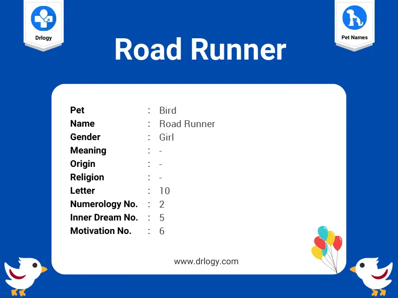 Road Runner Name Meaning